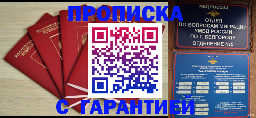 миграционный учет в Димитровграде